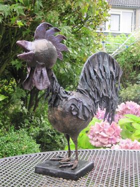 Haan  , augustus 2011. Hij leeft nog steeds, al 8 jaar buiten in weer en wind . Ik denk er wel over om een nieuwe en mooiere te maken