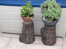 Boomstronkjes die kunnen dienen als plantentafeltje