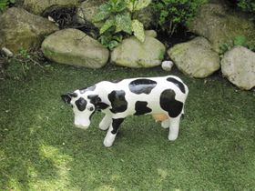 Mei 2013. Deze koe had ik eerst ook van papier maché gemaakt maar hij ging bij langdurige regen steeds scheuren. ,Toen maar opnieuw ingepakt met katoen met paverpol. Nu blijft hij al jaren goed