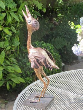 Vreemde vogel Guus , juli 2014